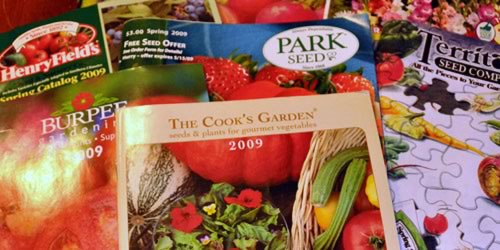 Seed catalogs!