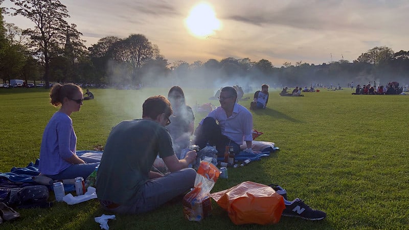 Picnic in the Meadows