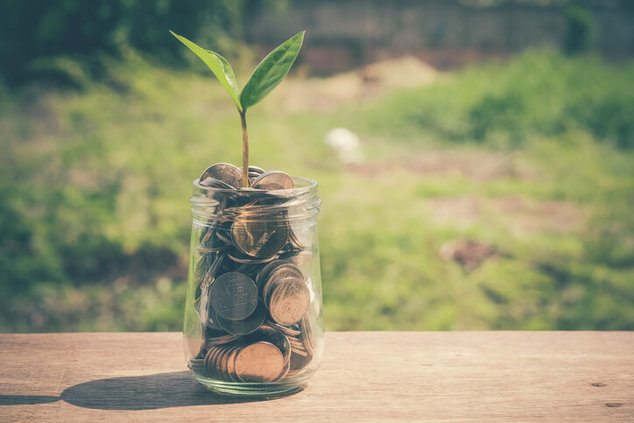 A plant growing out of a coin jar to symbolize the growth of money