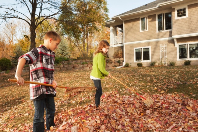 Brother and sister raking leaves together